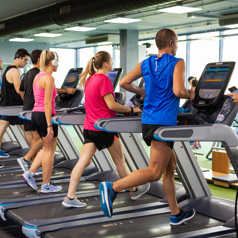 people-on-treadmills
